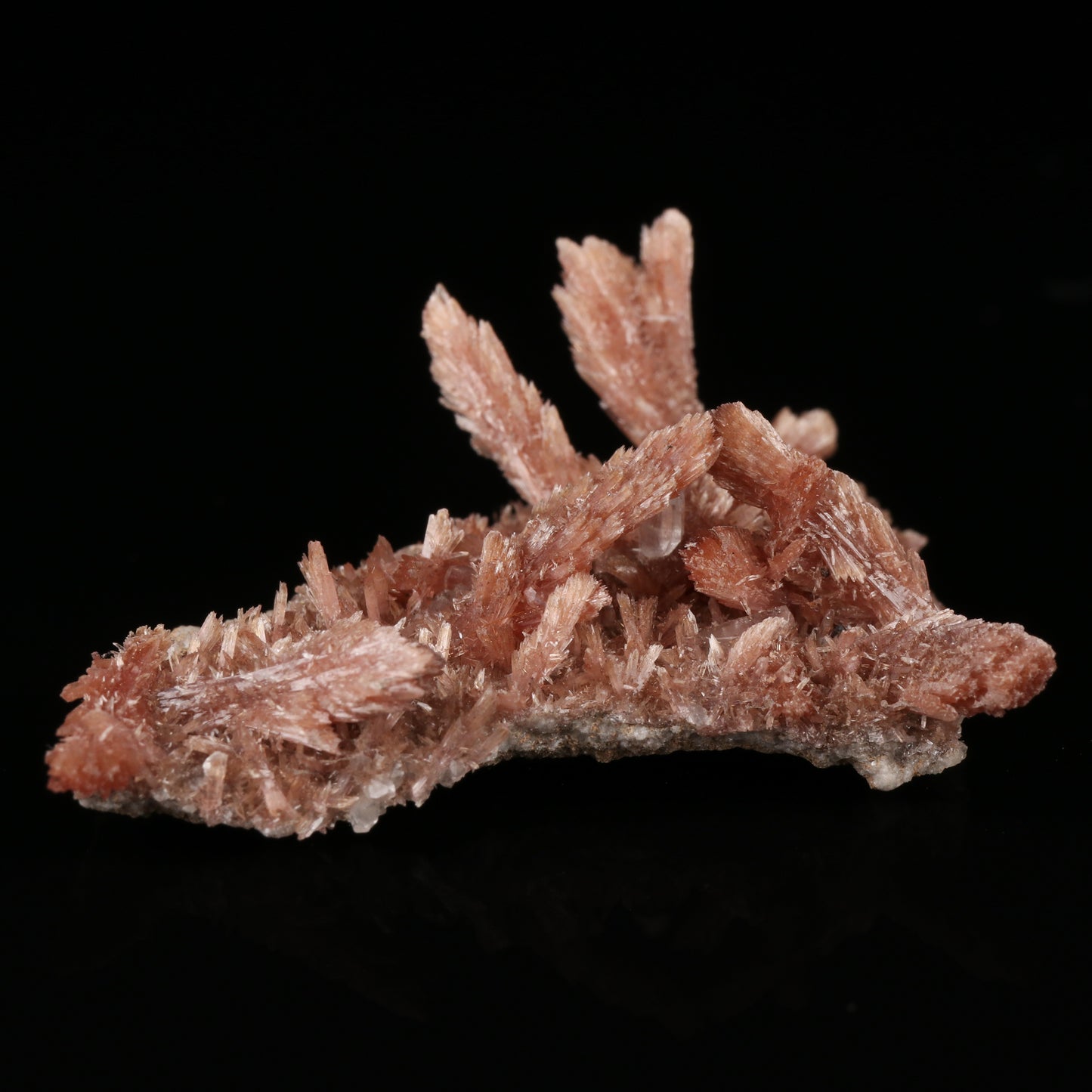 Calcite on Inesite on Matrix