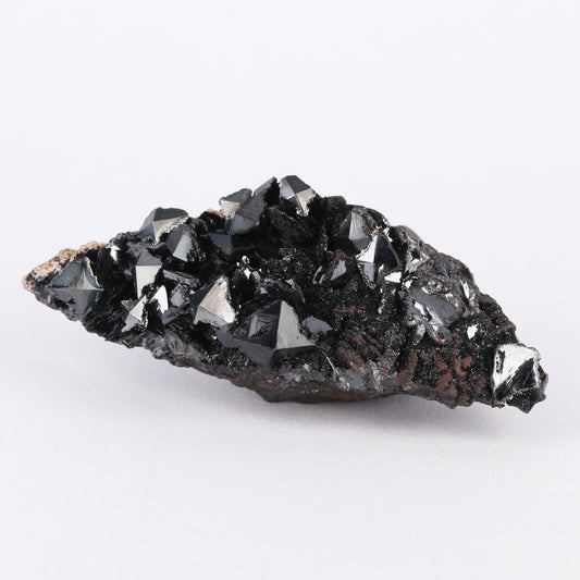 Sphenoidal Manganite