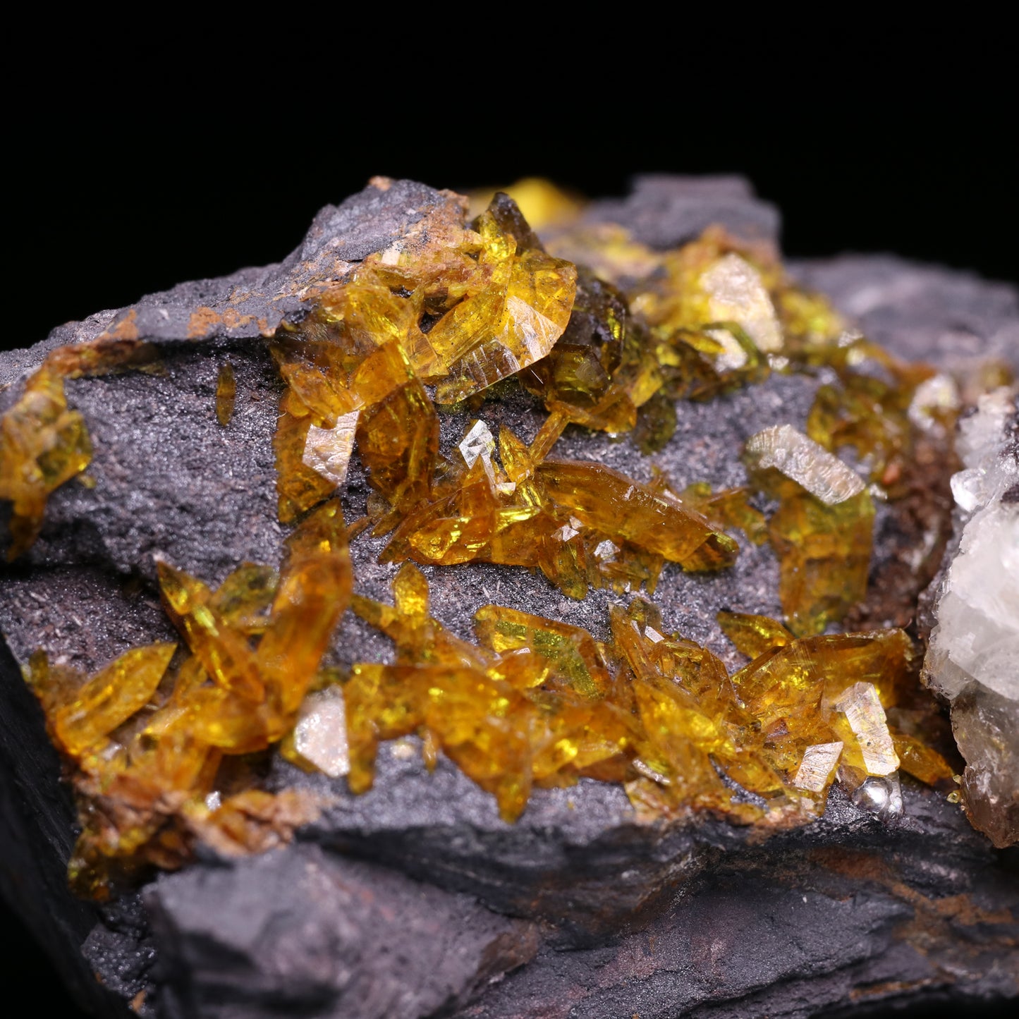 Brucite and Sturmanite on Matrix