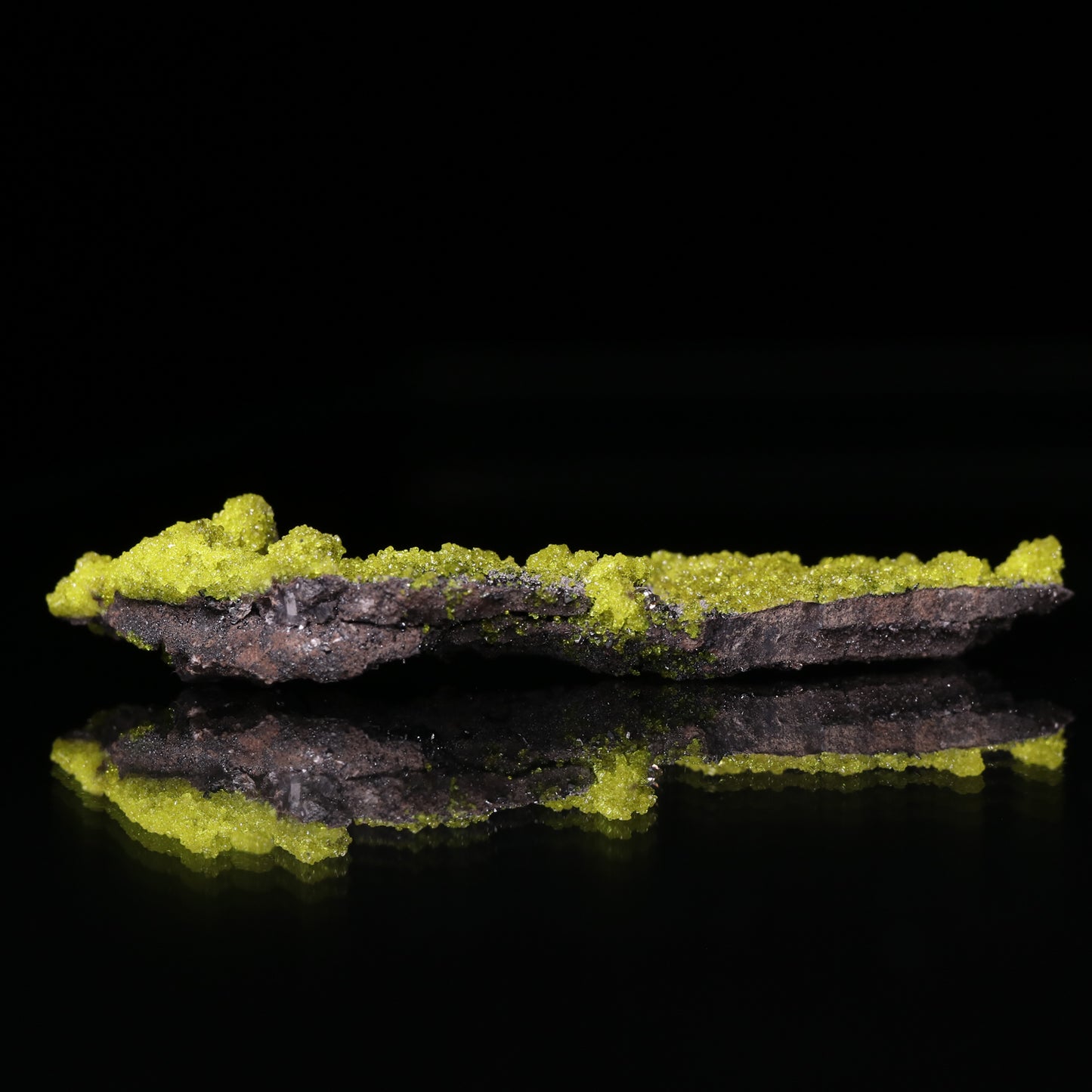 Ettringite on Calcite on Matrix