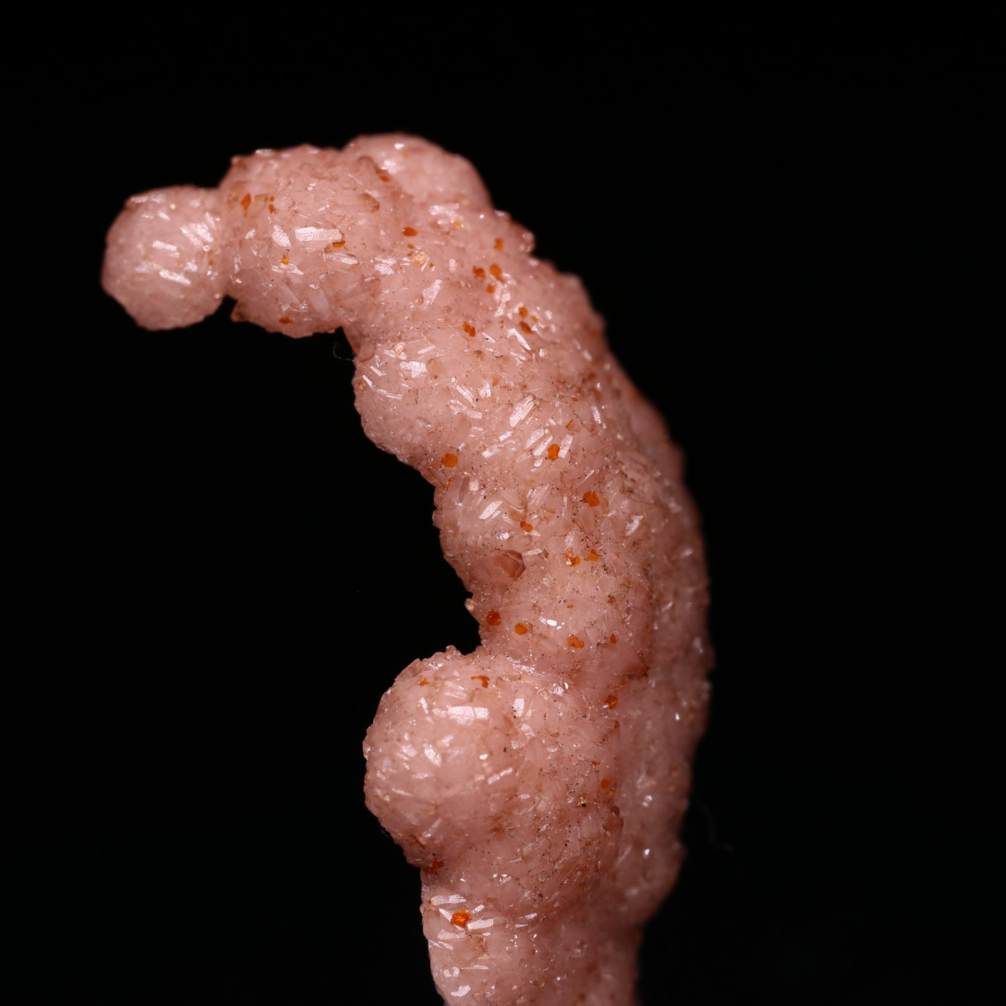 Curved Rhodochrosite Thumbnail, N'Chwaning I Mine, Kalahari Manganese Field, Northern Cape, South Africa.