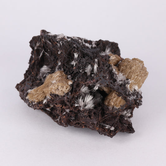 Bultfonteinite & Olmiite