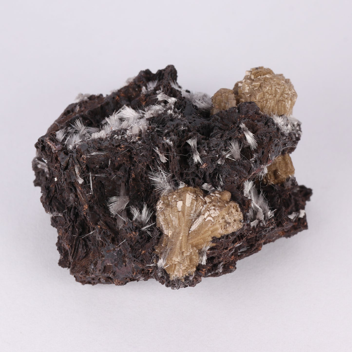 Bultfonteinite & Olmiite