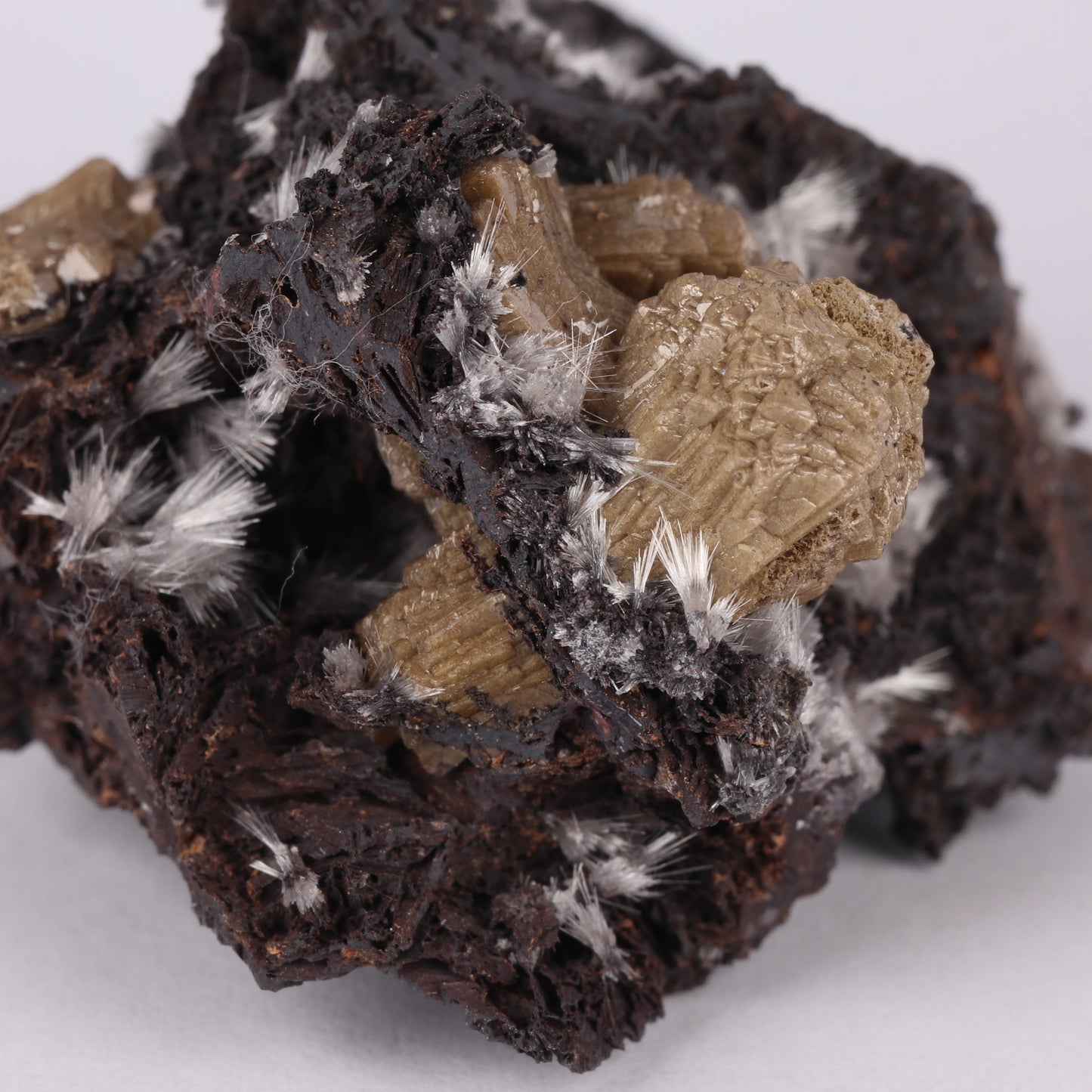 Bultfonteinite & Olmiite