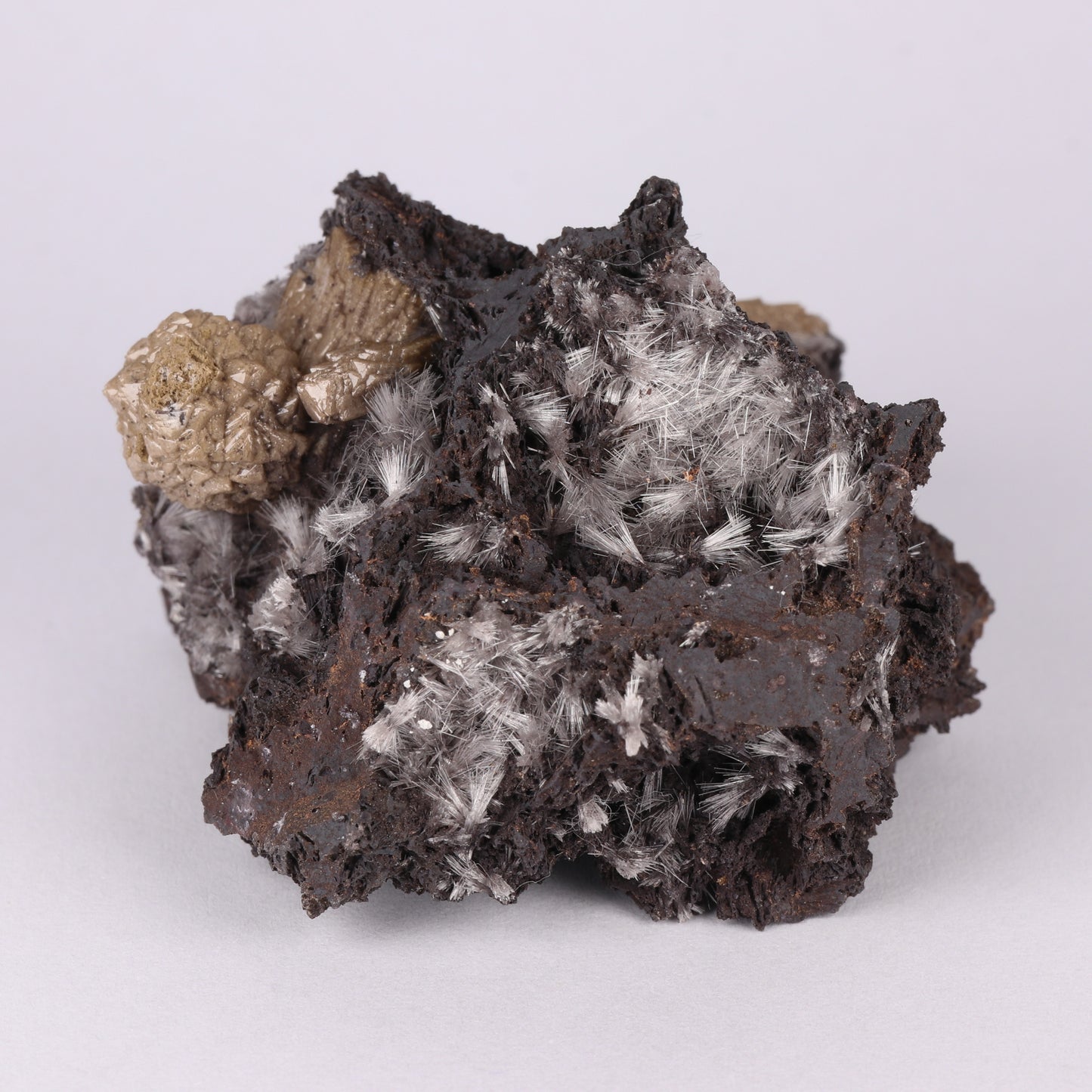 Bultfonteinite & Olmiite