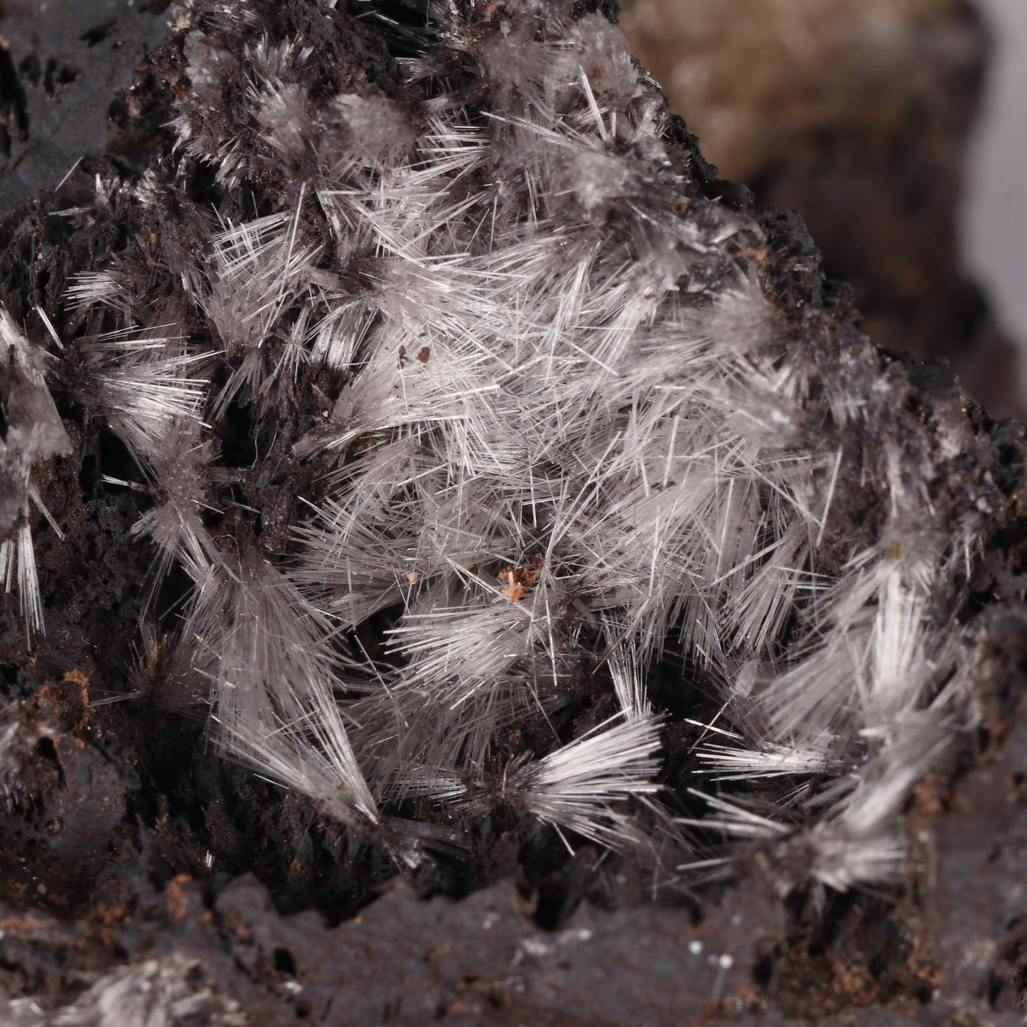Bultfonteinite & Olmiite