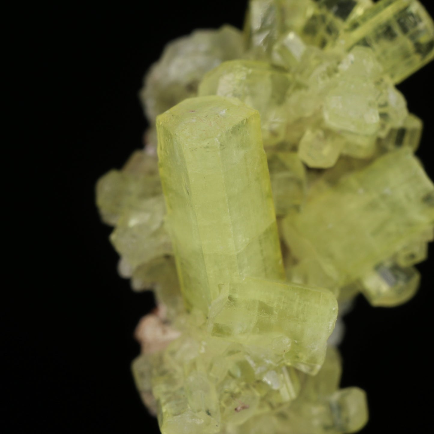 Thaumasite