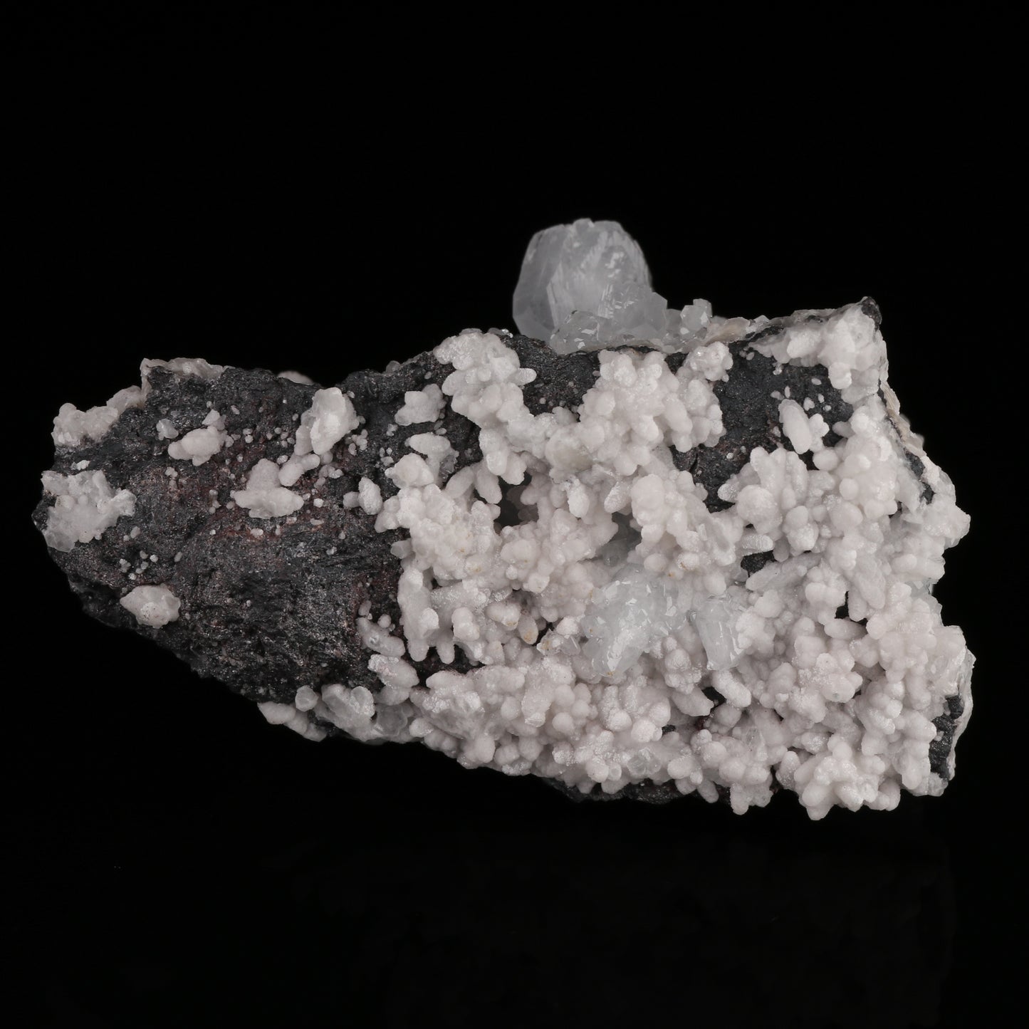 Celestine on Matrix