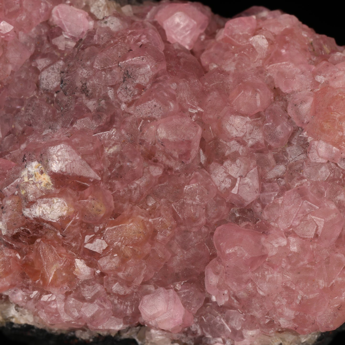 Cobaltoan Smithsonite