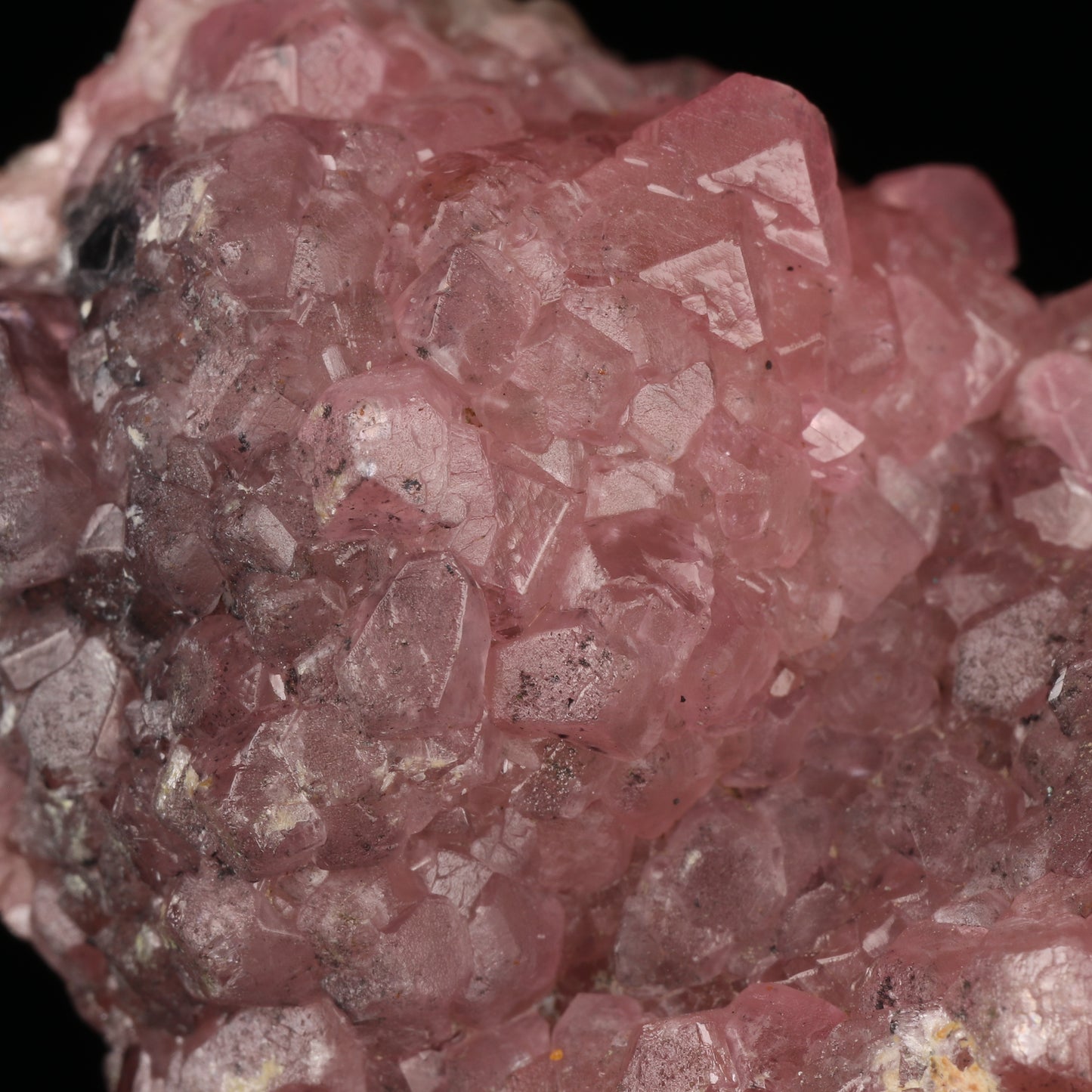 Cobaltoan Smithsonite