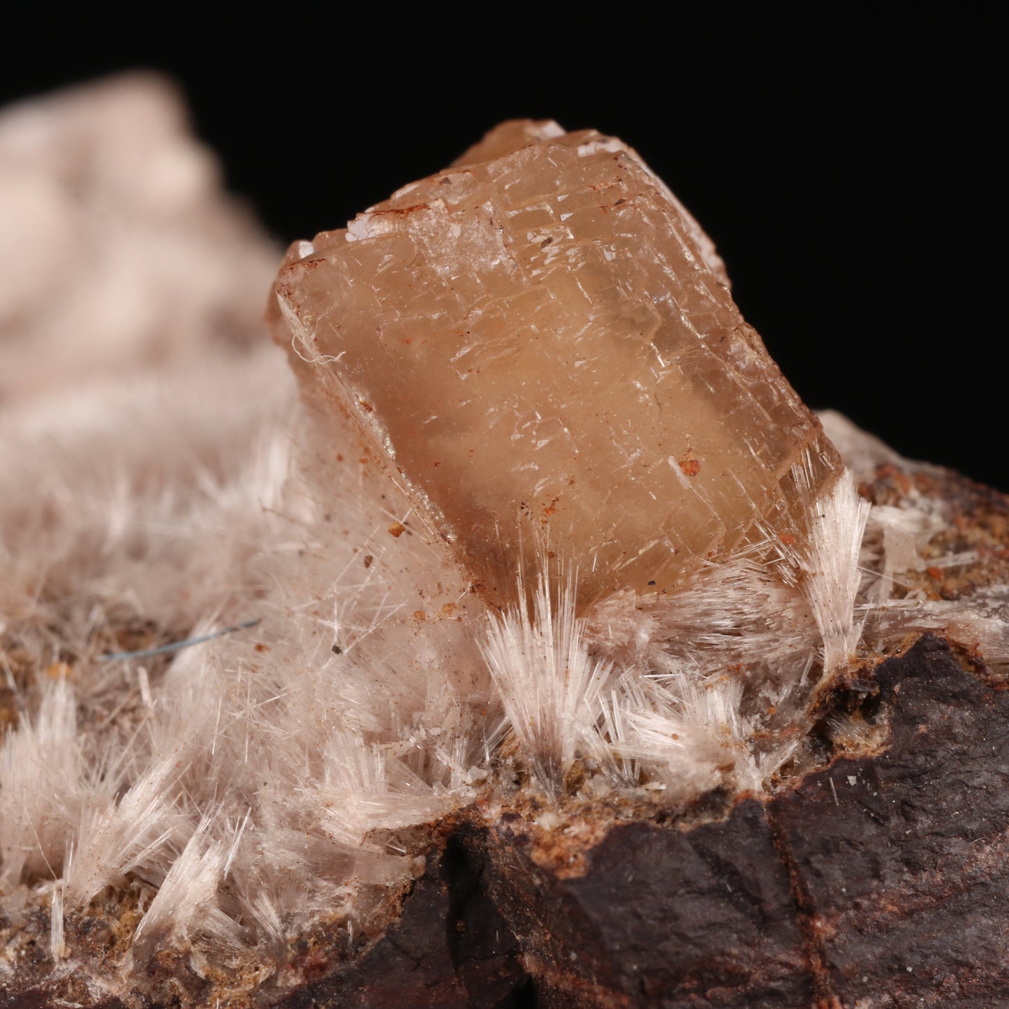 Olmiite & Bultfonteinite on Matrix