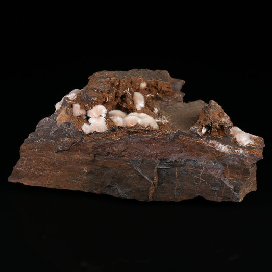 Bultfonteinite, Calcite on Matrix
