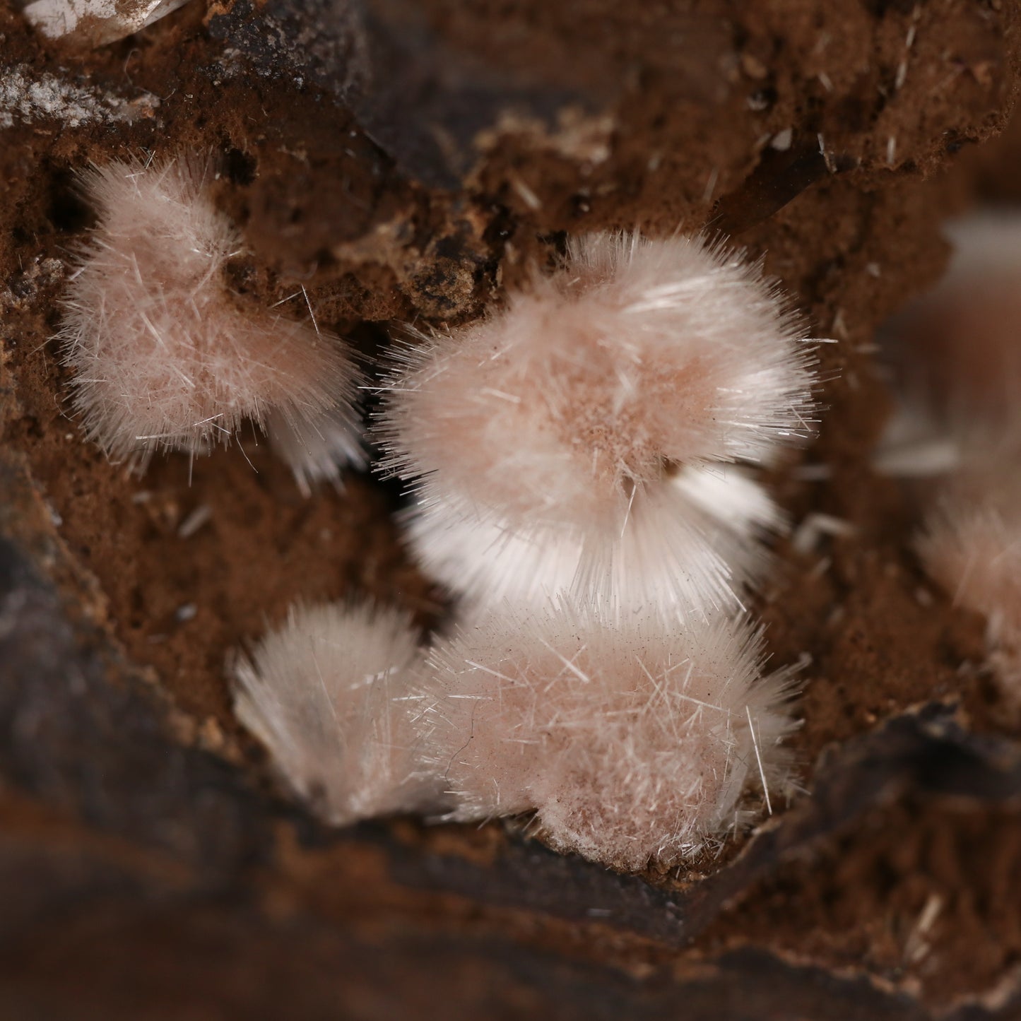 Bultfonteinite, Calcite on Matrix