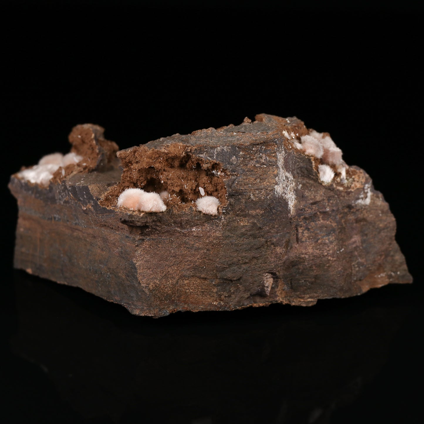Bultfonteinite, Calcite on Matrix