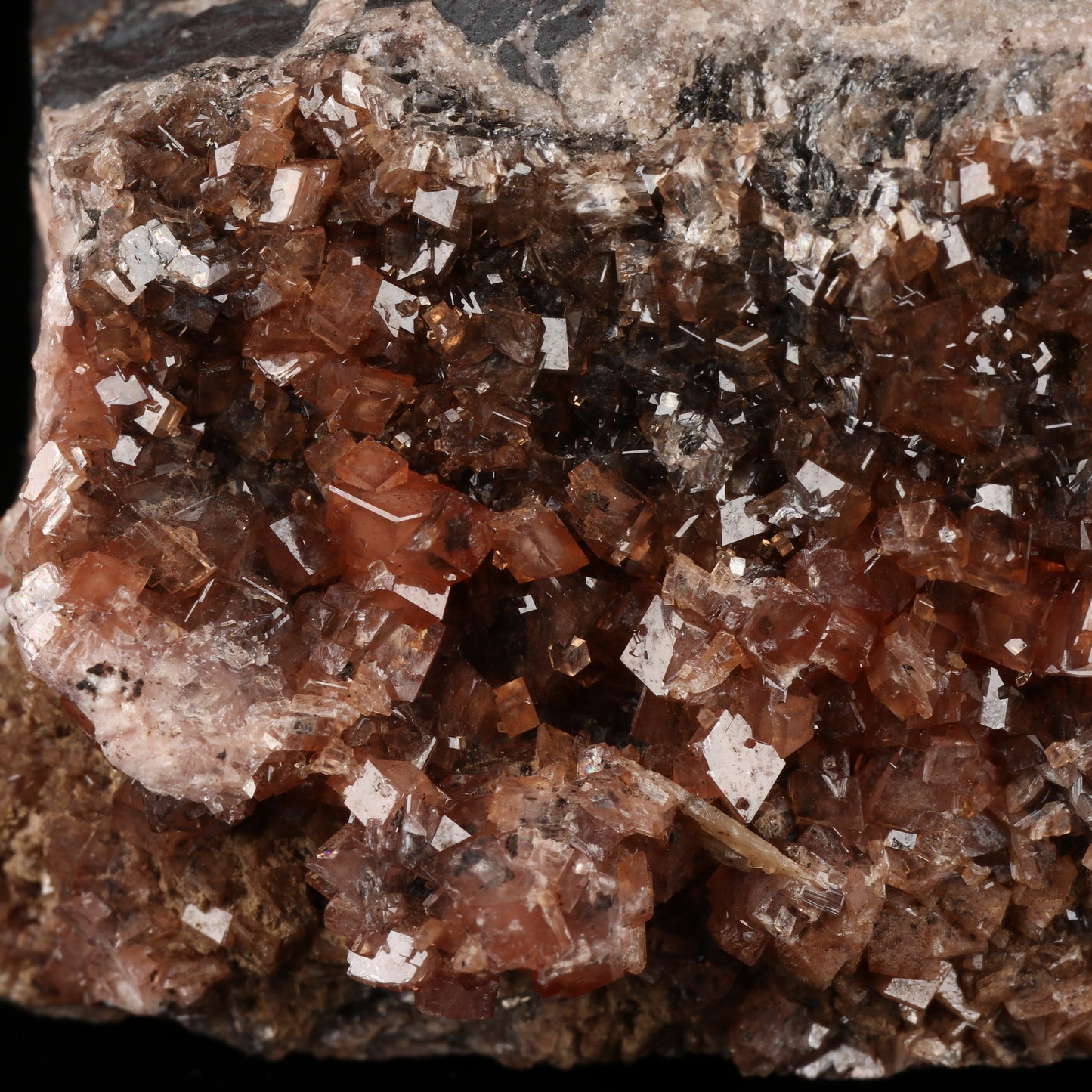 Gageite on Rhodochrosite on Matrix