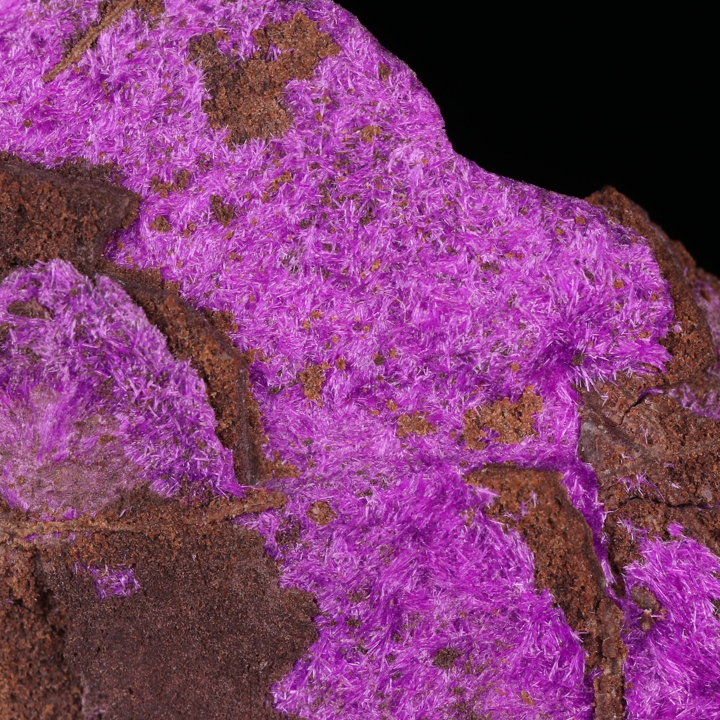 Fibrous Sugilite on Matrix