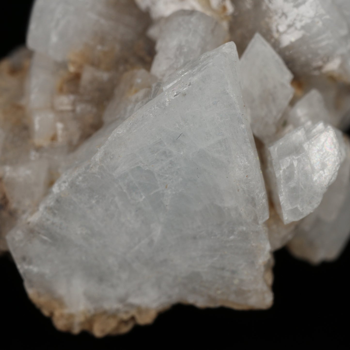 Celestine on Matrix