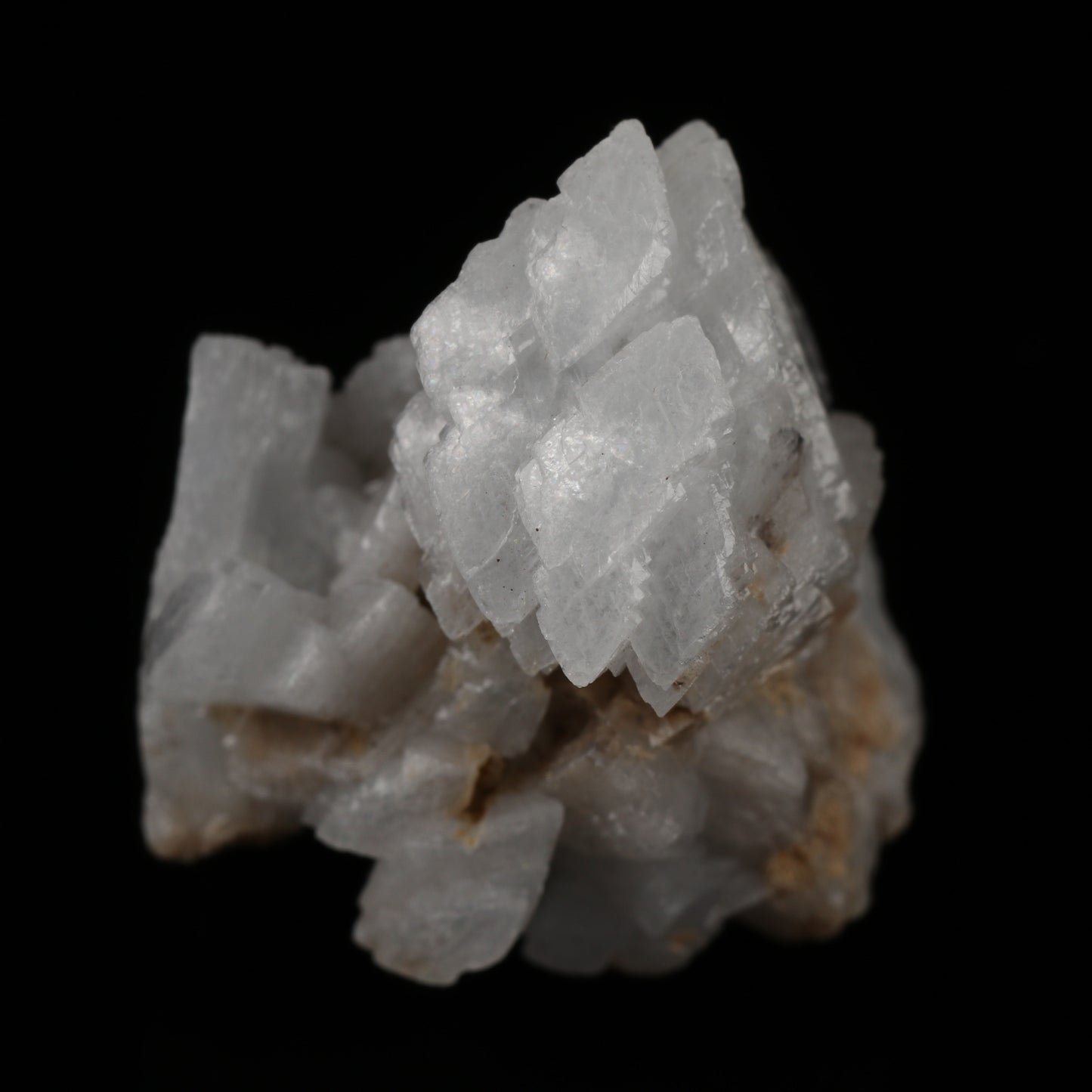 Celestine on Matrix