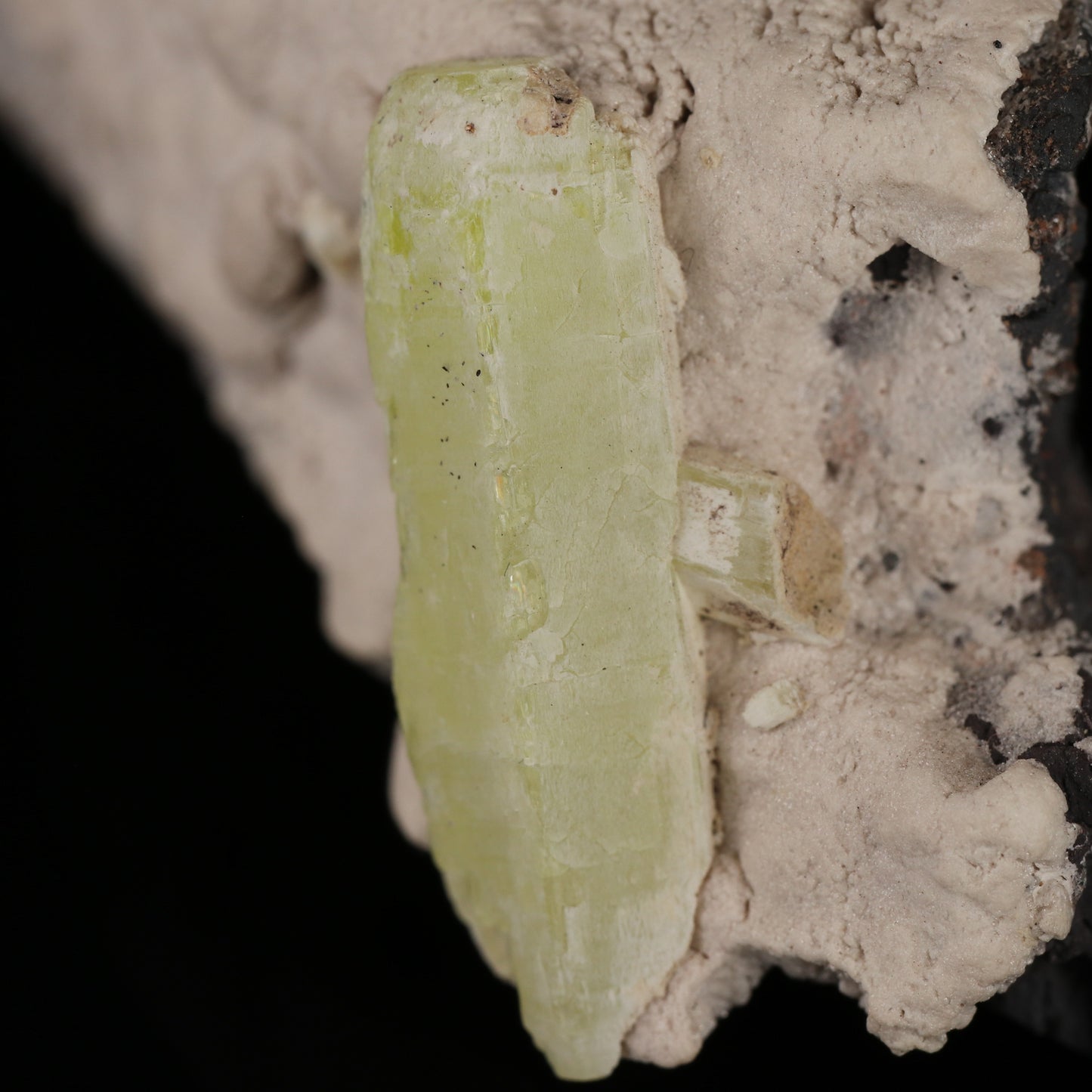Oyellite with Ettringite