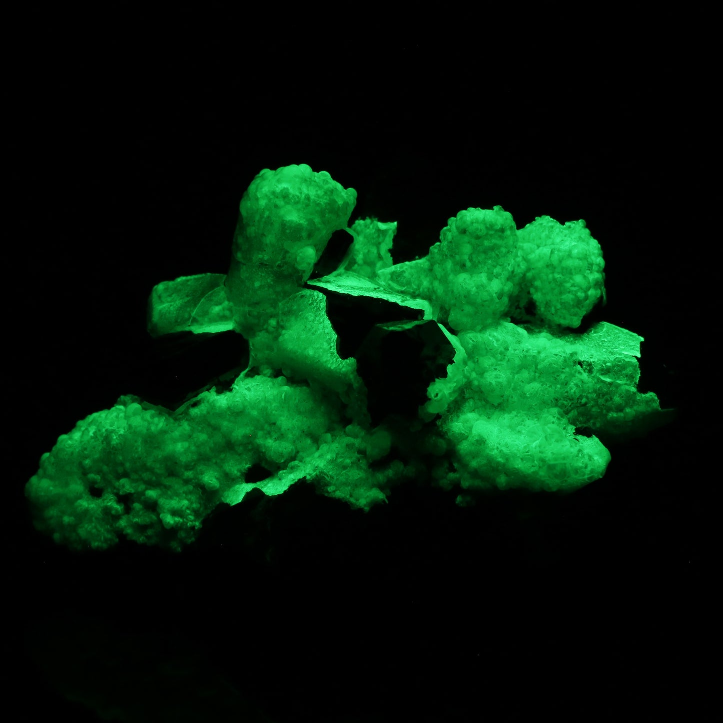 Opal-An on Smoky Quartz with Schorl