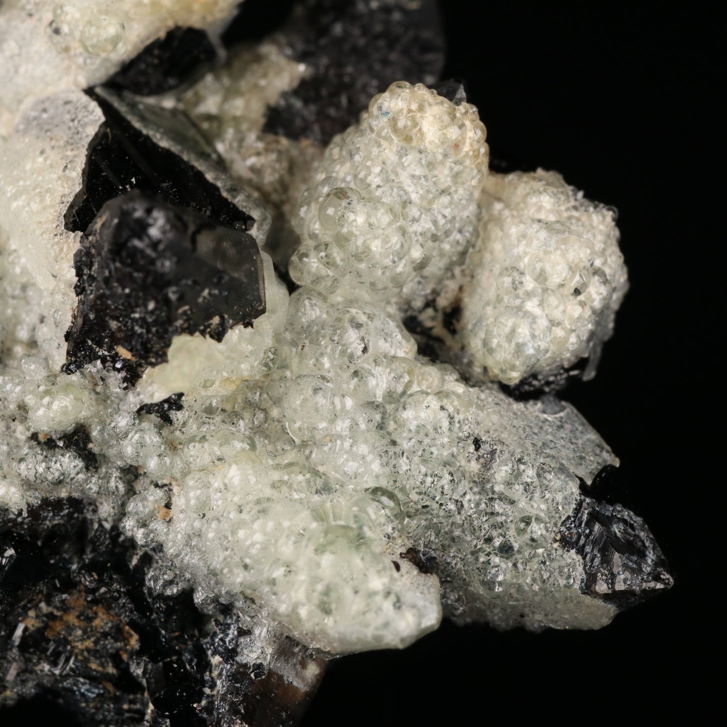 Opal-An on Smoky Quartz with Schorl