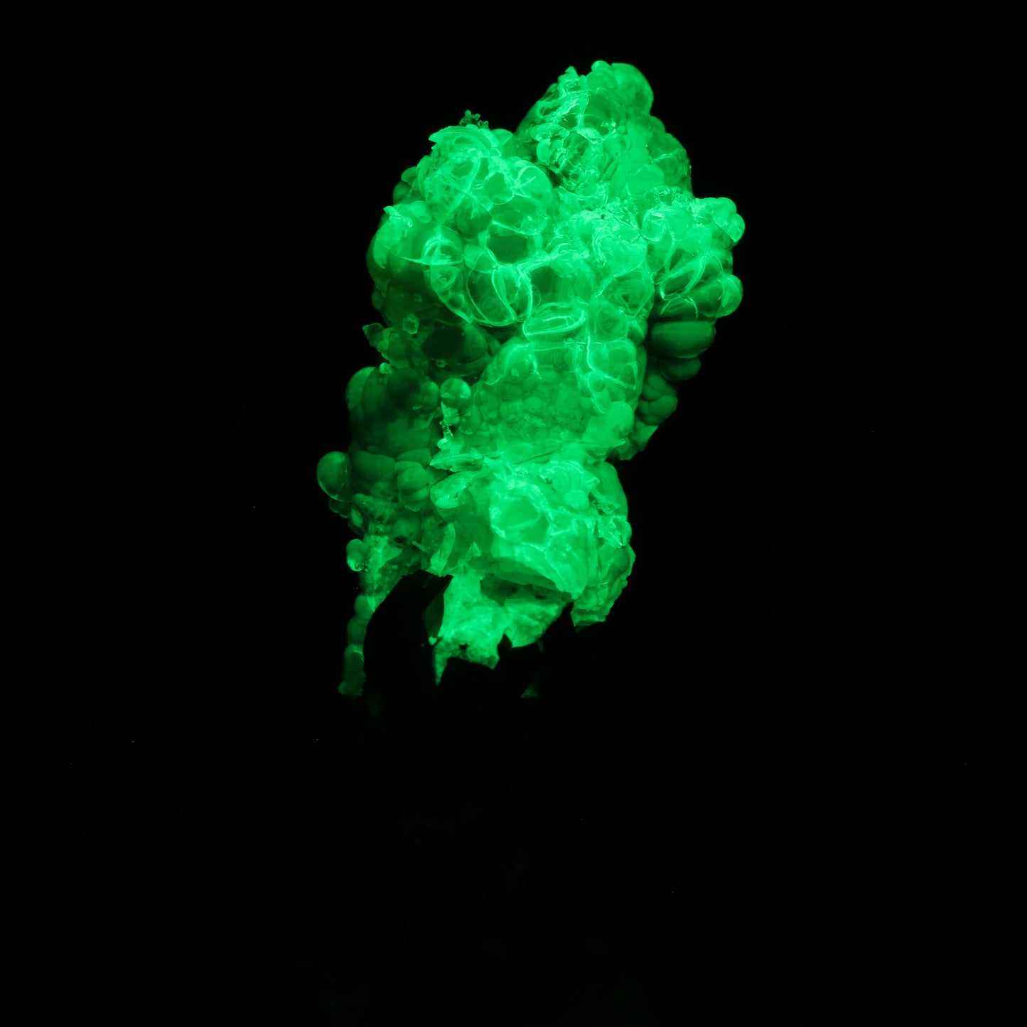 Opal-An on Smoky Quartz with Schorl