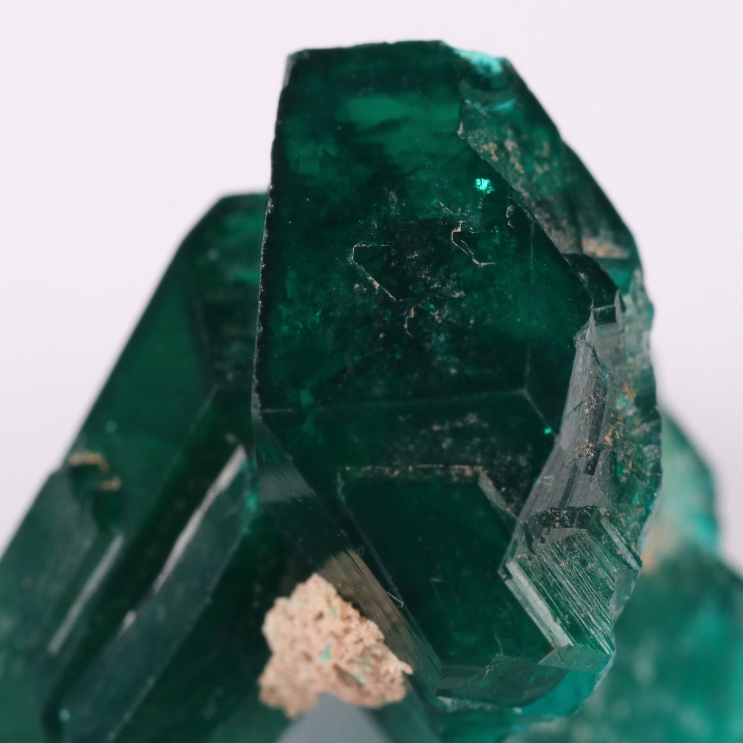 Dioptase Cluster