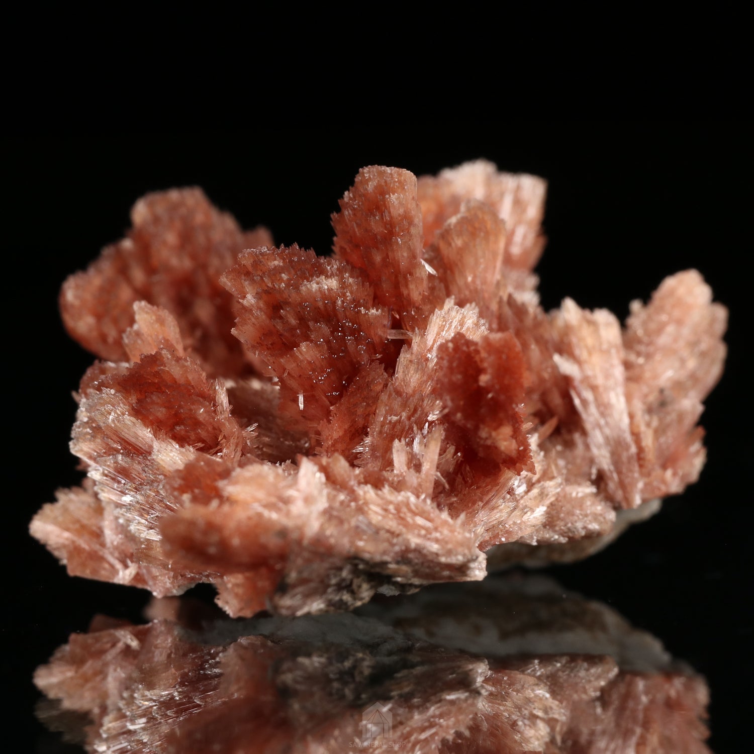 Inesite