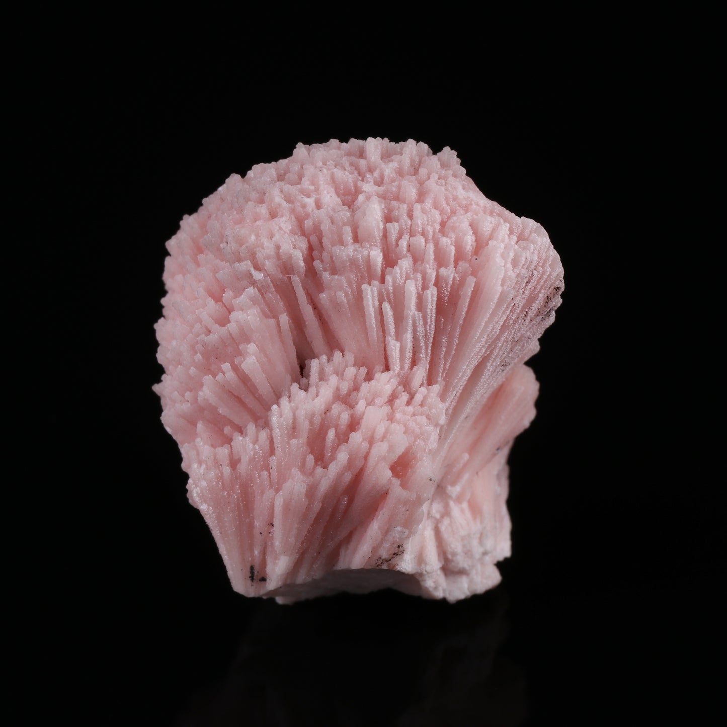 Kutnohorite