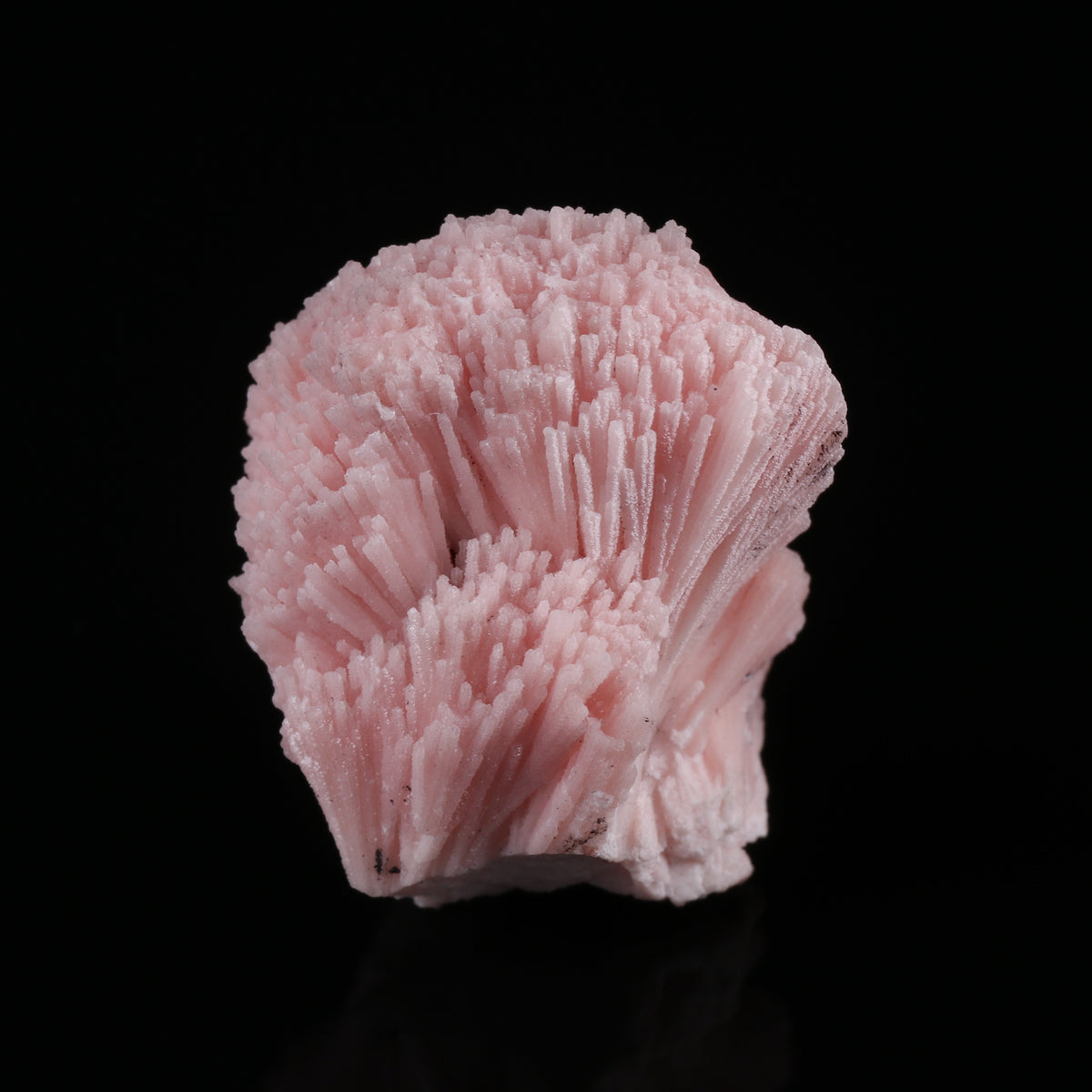 Kutnohorite