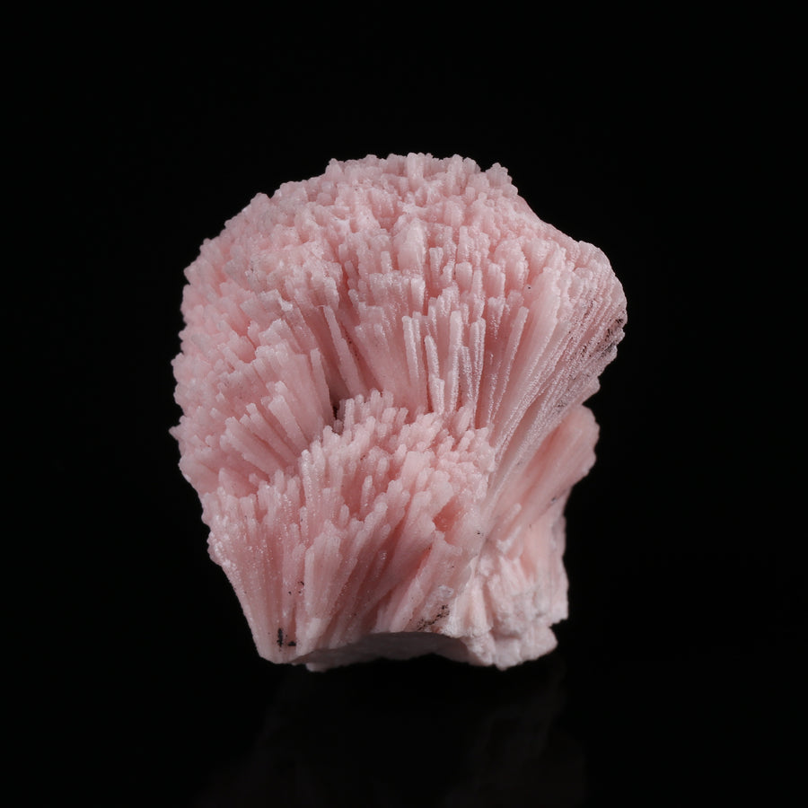 Kutnohorite