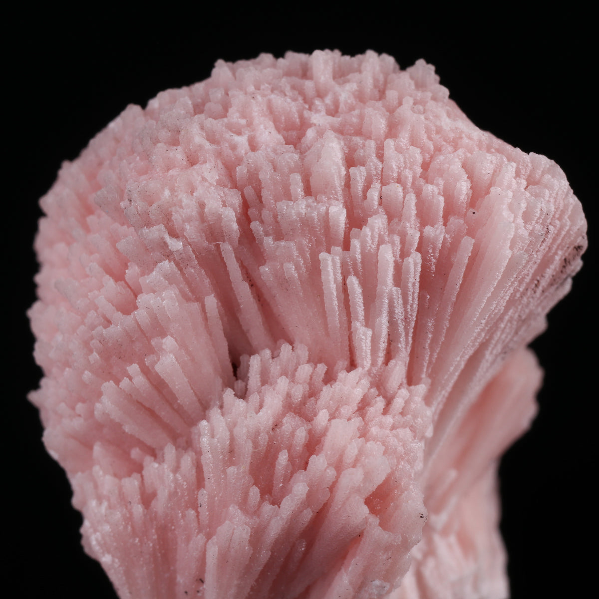 Kutnohorite