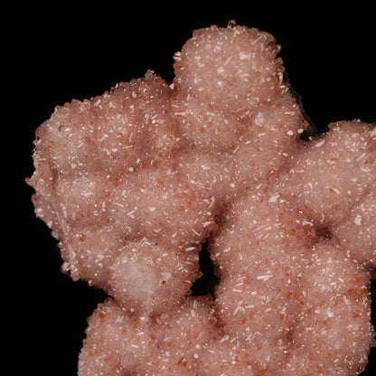 Rhodochrosite on Matrix