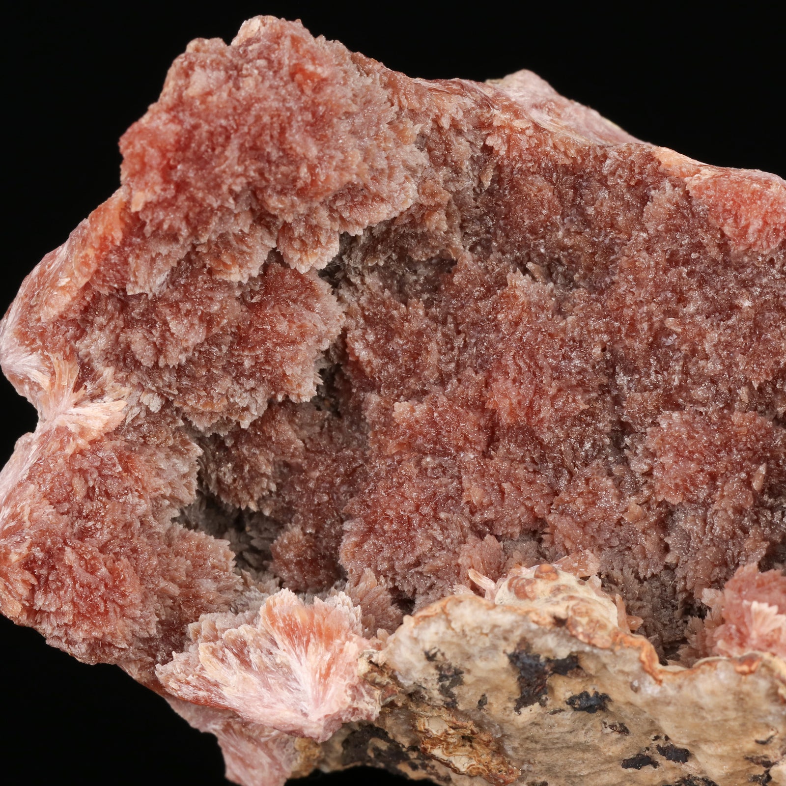Inesite - photo 2