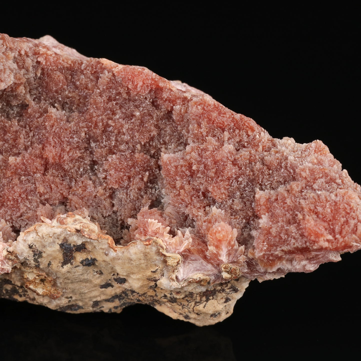 Inesite — photo 3