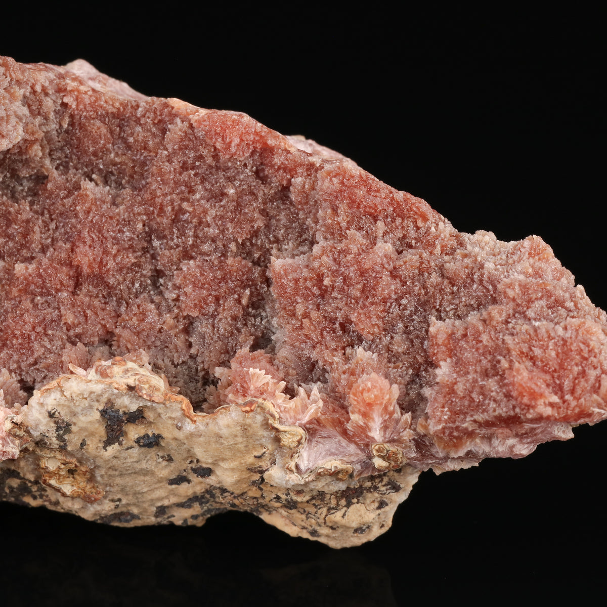 Inesite - photo 3
