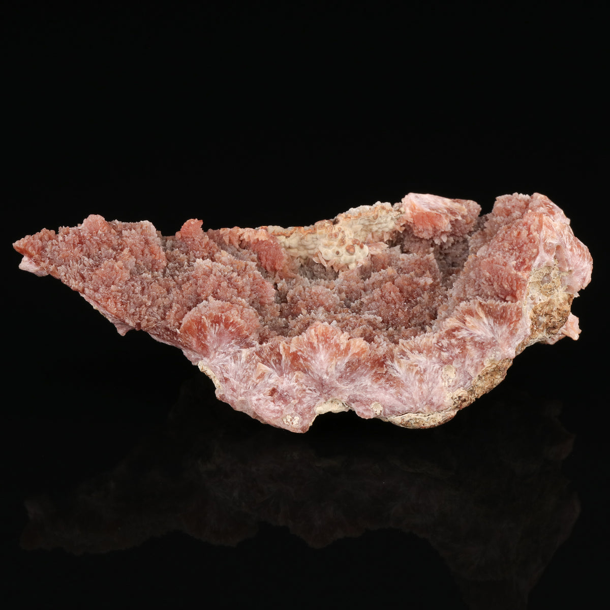 Inesite - photo 6