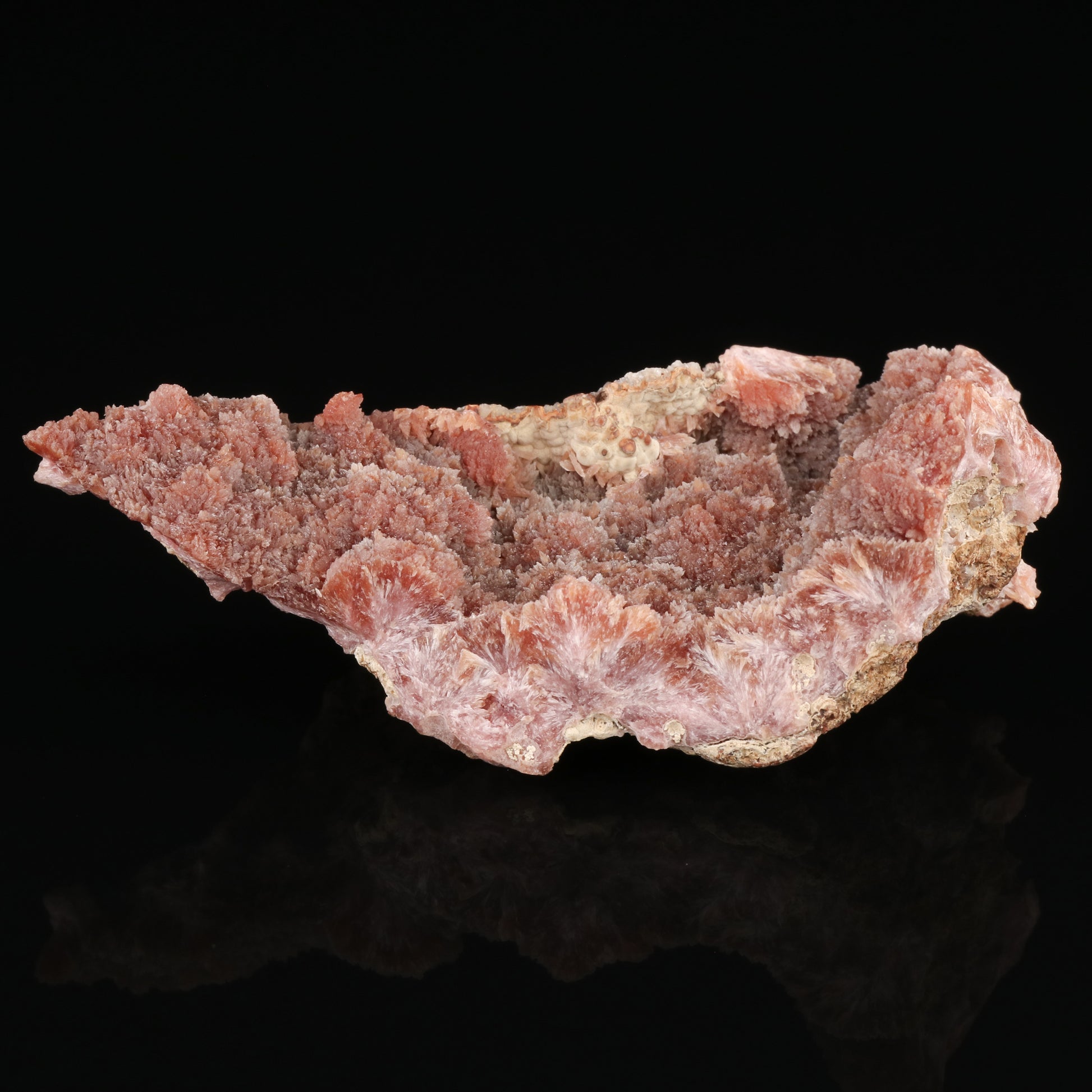 Inesite — photo 6