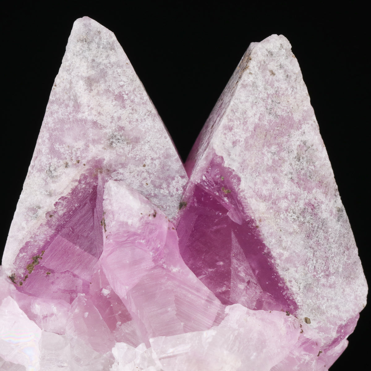 Cobaltoan Calcite