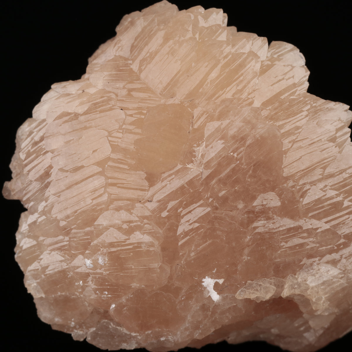 Olmiite