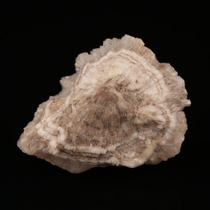 Olmiite