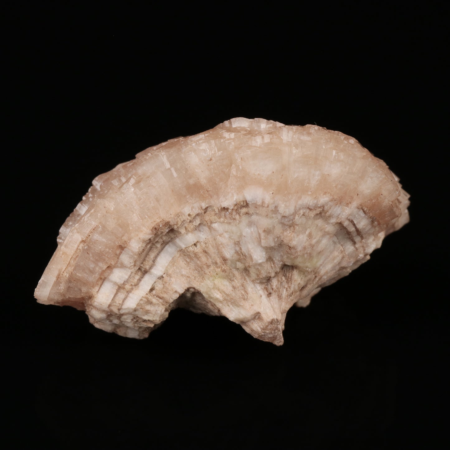 Olmiite