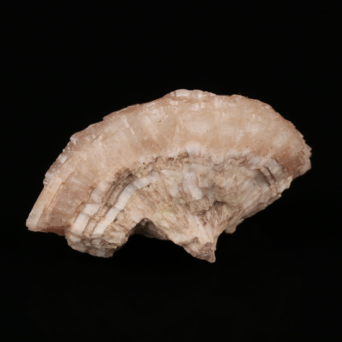 Olmiite