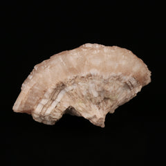 Olmiite