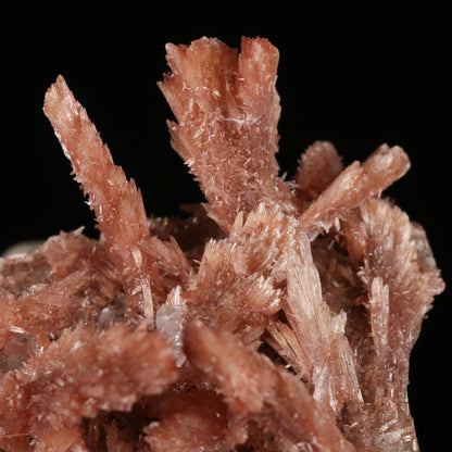 Calcite on Inesite on Matrix