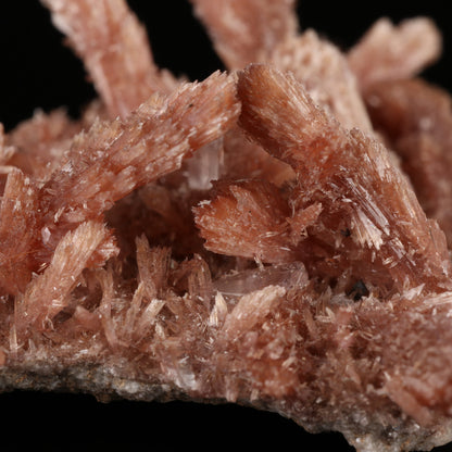 Calcite on Inesite on Matrix