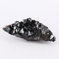 Sphenoidal Manganite