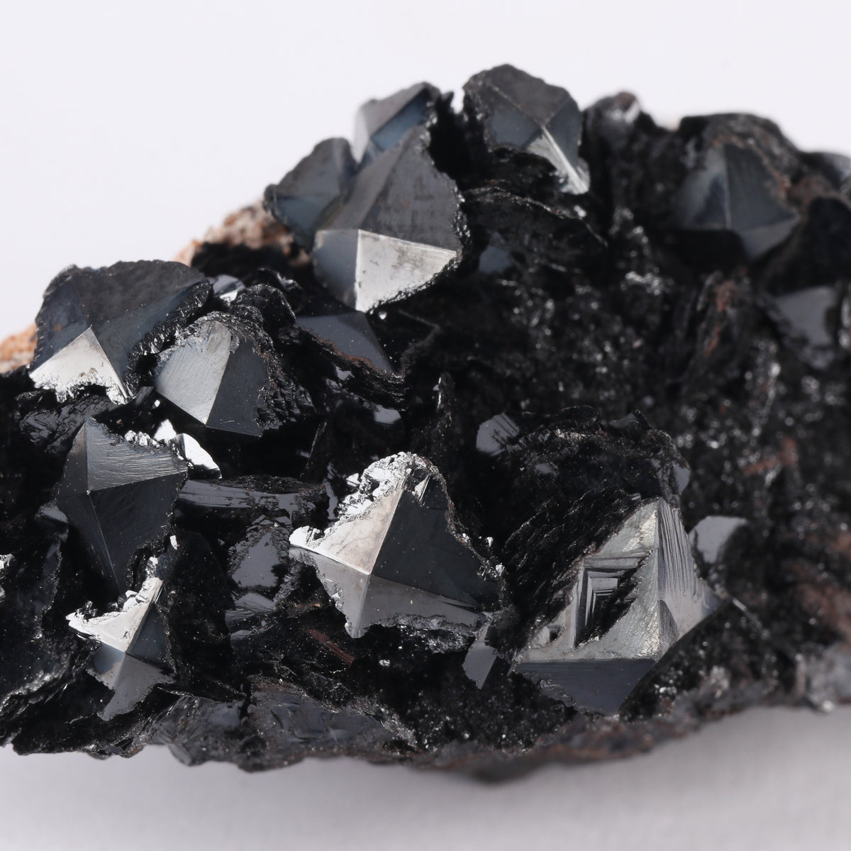 Sphenoidal Manganite