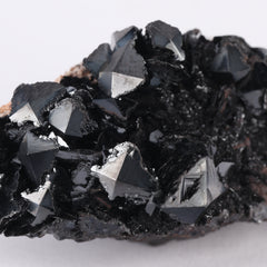 Sphenoidal Manganite