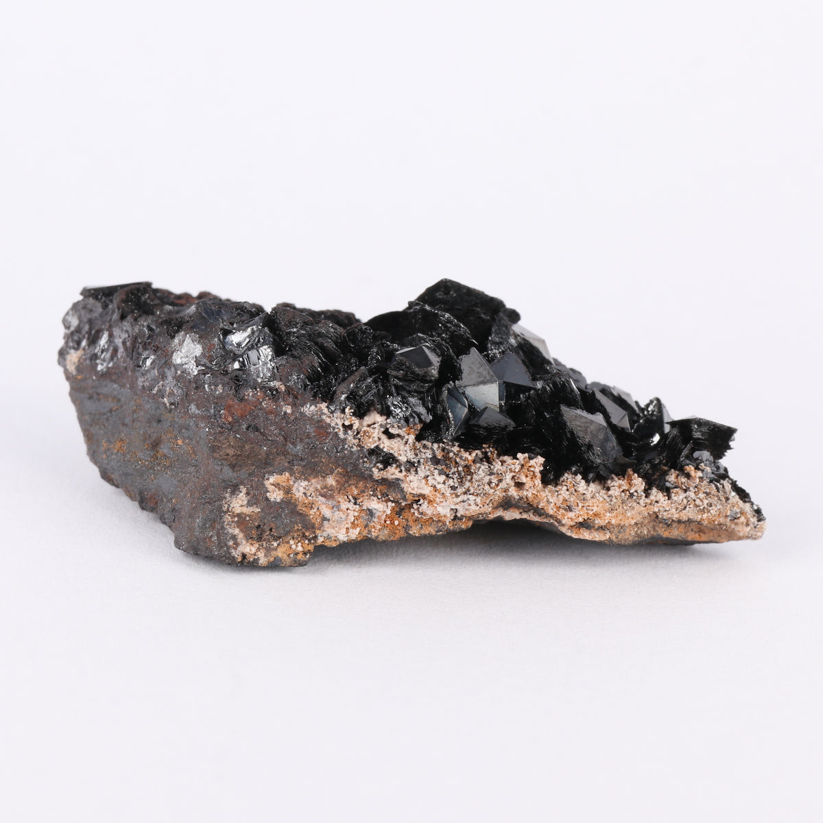 Sphenoidal Manganite